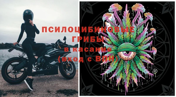 гидра Алзамай
